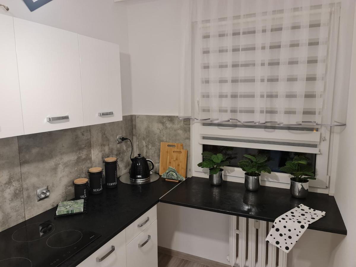 Apartament Nova Przy S3 Nowa Sol Εξωτερικό φωτογραφία